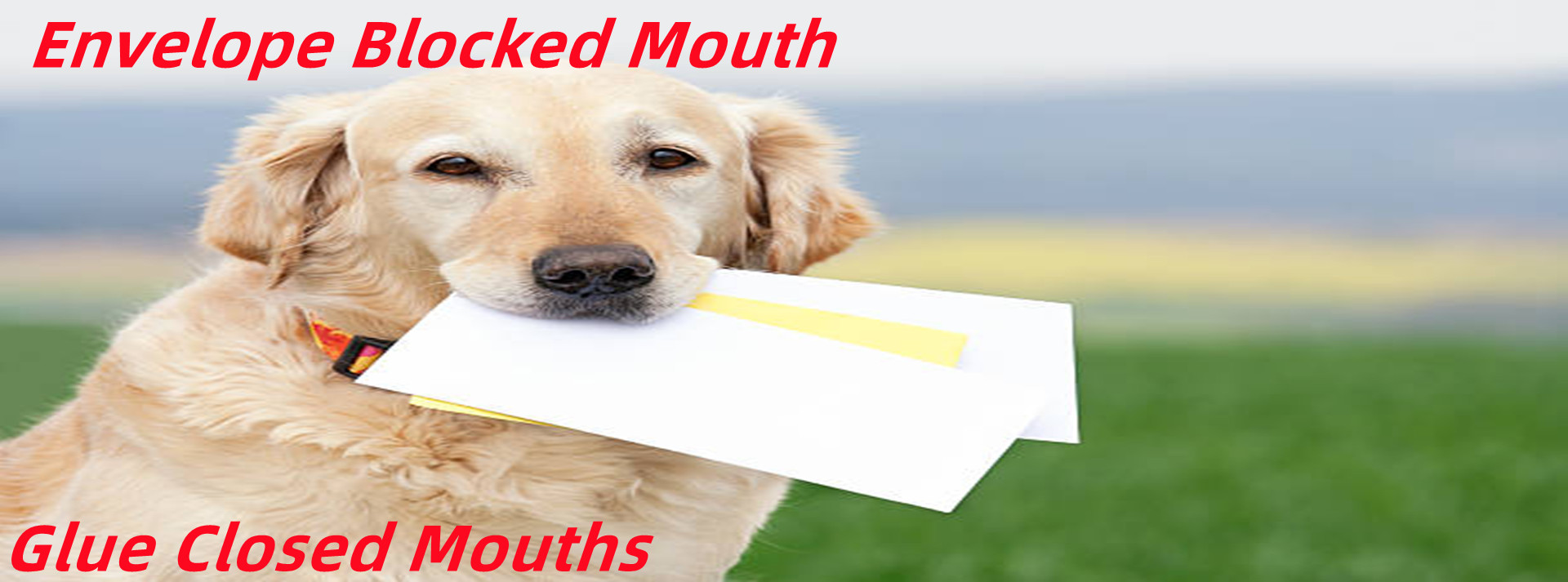 Envelop will develope.